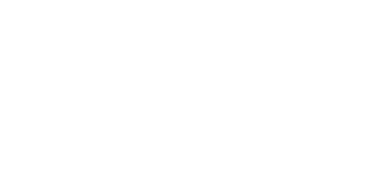 Professional Hockey Players’ Association - website work by Brown Walrus